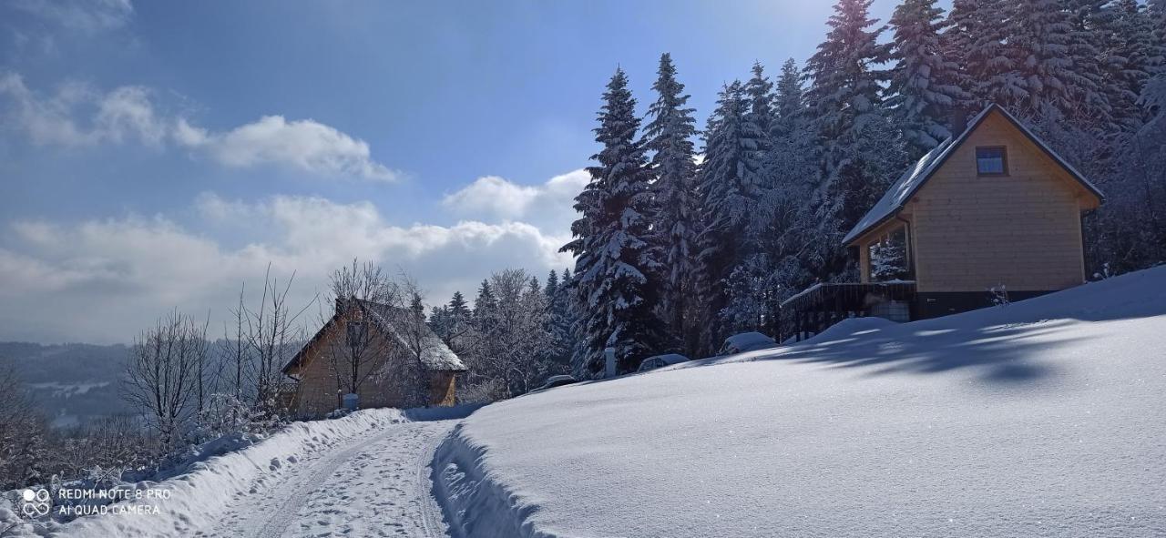 Chata Z Widokiem Na Babia Gore Pewel Wielka Exteriér fotografie
