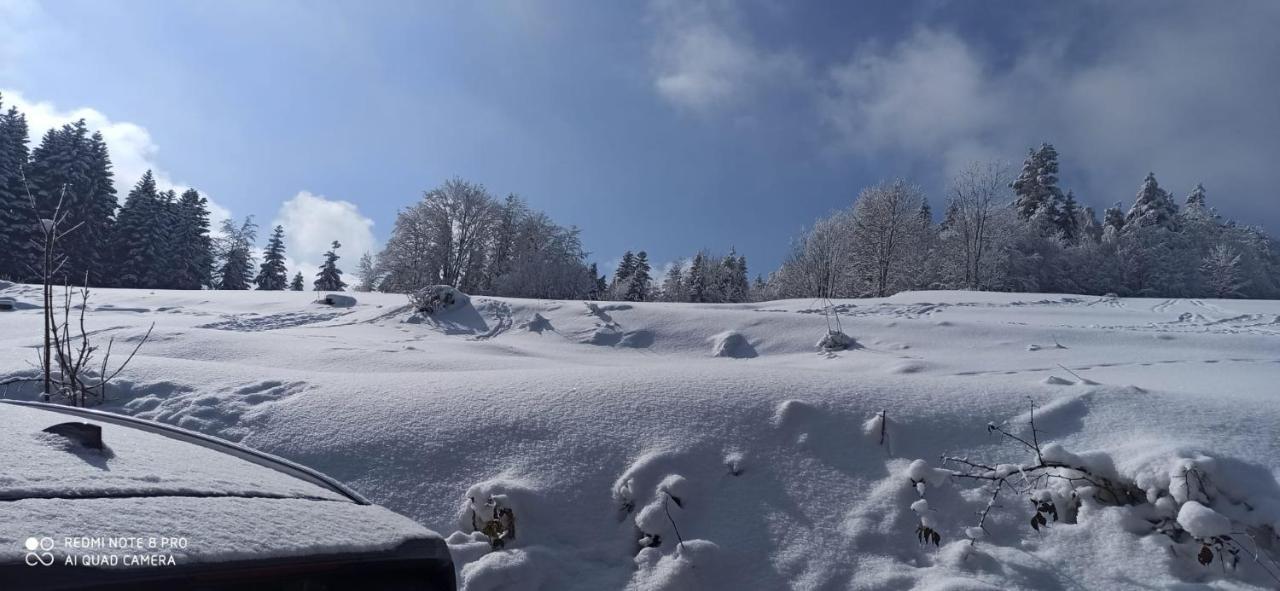 Chata Z Widokiem Na Babia Gore Pewel Wielka Exteriér fotografie